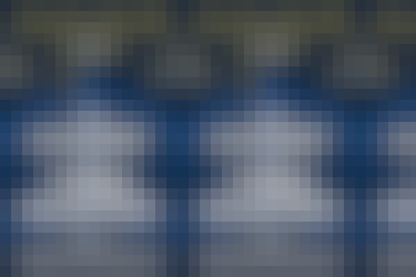 Web News On Reveal